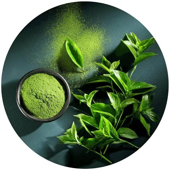 Natural Green Tea Leaf Extract